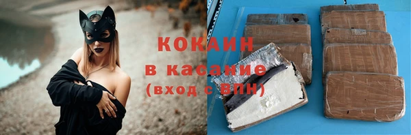 мдпв Богородск