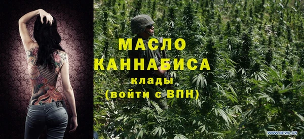 мдпв Богородск