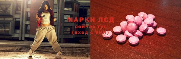 мдпв Богородск